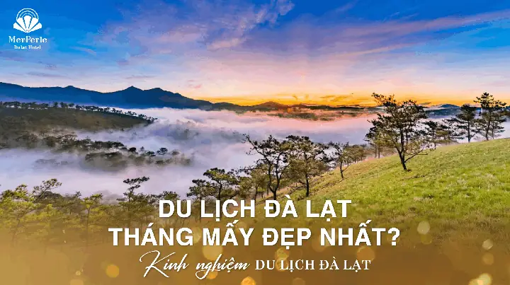 Chọn Tháng Đẹp Nhất Để Du Lịch Đà Lạt Theo Thời Tiết Và Cảnh Sắc Mùa Vụ