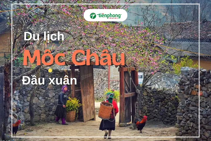 Lịch Trình Du Xuân Mộc Châu Đầu Xuân: Địa Điểm, Thời Gian Hoa Nở Và Mẹo Du Lịch Cho Người Mới Lịch Trình Du Xuân Mộc Châu Đầu Xuân: Địa Điểm, Thời Gian Hoa Nở Và Mẹo Du Lịch Cho Người Mới