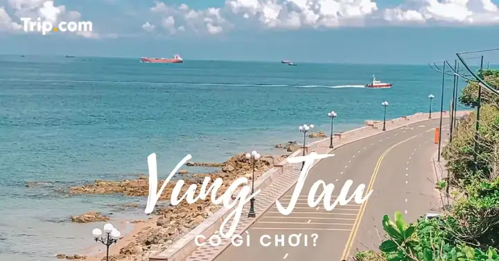 Gợi Ý Các Địa Điểm Du Lịch Vũng Tàu Nên Đi Đâu Cho Chuyến Đi Từ Tp.hcm Gợi Ý Các Địa Điểm Du Lịch Vũng Tàu Nên Đi Đâu Cho Chuyến Đi Từ Tp.hcm