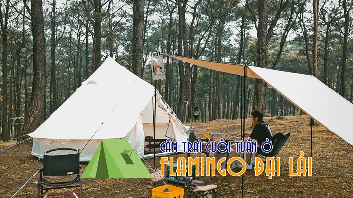 Tìm Hiểu Khoảng Cách Và Cách Di Chuyển Từ Hà Nội Đến Flamingo Đại Lải Cho Du Khách Nghỉ Dưỡng Chi Tiết