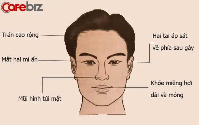 Xem Tướng Gáy Cao: Ý Nghĩa Tốt Xấu, Dấu Hiệu Vận Mệnh Nam Nữ & Cách Nhận Diện Chuẩn