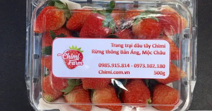 Giá Dâu Tây Tại Hà Nội 2026: Mức Giá Hiện Tại, Các Size Và Địa Chỉ Mua Uy Tín