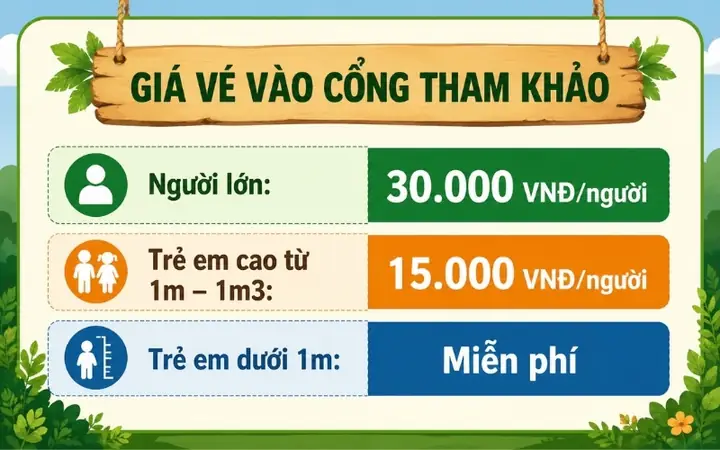 Giá Vé Vào Rừng Dừa Bảy Mẫu 2026: Bảng Giá Chi Tiết, Combo, Giảm Giá & Lưu Ý Đặt Vé