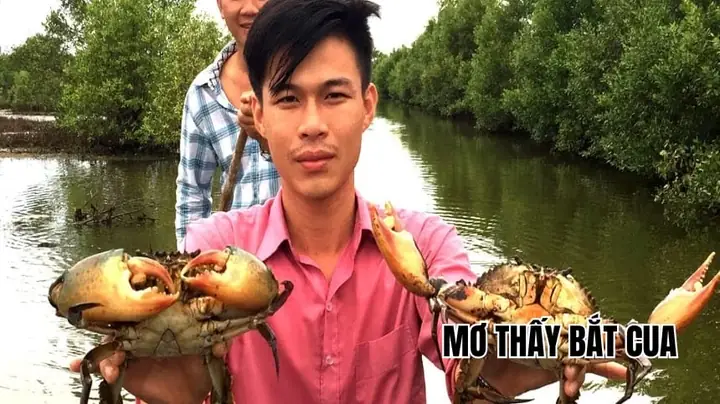 Giải Mã Giấc Mơ Bắt Cua: Ý Nghĩa, Điềm Báo Và Con Số May Mắn