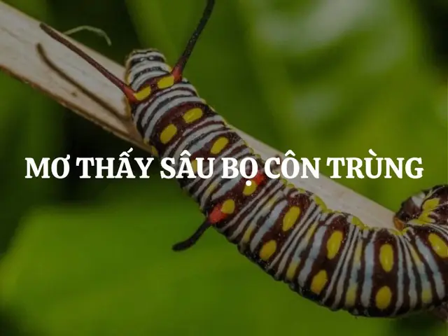 Giải Mã Giấc Mơ Thấy Sâu: Ý Nghĩa, Dấu Hiệu Và Con Số May Mắn