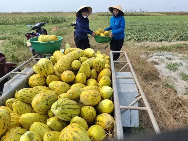 Giải Mã Giấc Mơ Gãy Chân: Ý Nghĩa, Dấu Hiệu Và Cách Đối Phó Giải Mã Giấc Mơ Gãy Chân: Ý Nghĩa, Dấu Hiệu Và Cách Đối Phó