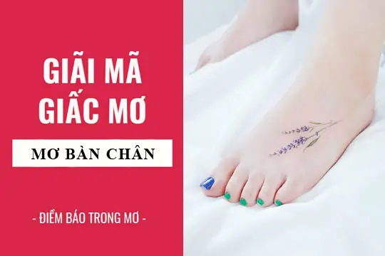 Giải Mã Giấc Mơ Gãy Chân: Ý Nghĩa, Dấu Hiệu Và Cách Đối Phó Giải Mã Giấc Mơ Gãy Chân: Ý Nghĩa, Dấu Hiệu Và Cách Đối Phó