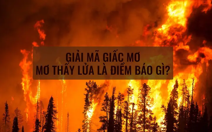 Giải Mã Giấc Mơ Thấy Cháy: Ý Nghĩa, Dự Báo Và Cách Đối Phó