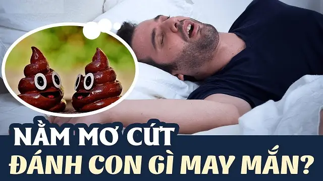Giải Mã Giấc Mơ Thấy Cứt: Ý Nghĩa, Điềm Báo Và Cách Hiểu Sâu Giải Mã Giấc Mơ Thấy Cứt: Ý Nghĩa, Điềm Báo Và Cách Hiểu Sâu