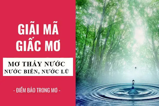 Giải Mã Giấc Mơ Thấy Nước Biển: Ý Nghĩa, Điềm Báo Và Cách Hiểu Cho Người Mơ Giải Mã Giấc Mơ Thấy Nước Biển: Ý Nghĩa, Điềm Báo Và Cách Hiểu Cho Người Mơ