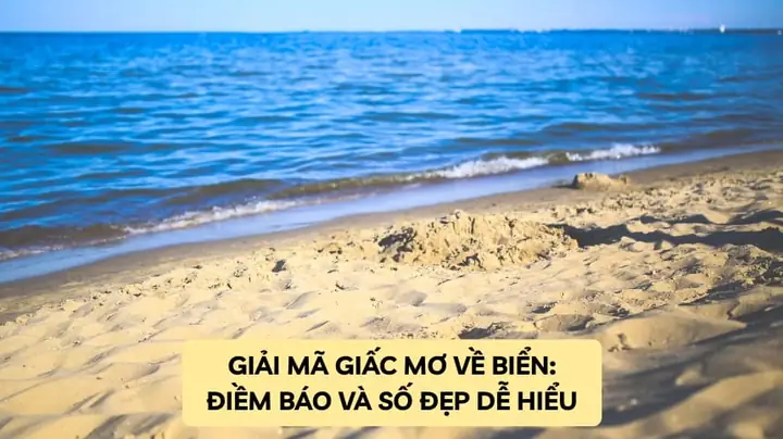 Giải Mã Giấc Mơ Thấy Nước Biển: Ý Nghĩa, Điềm Báo Và Cách Hiểu Cho Người Mơ Giải Mã Giấc Mơ Thấy Nước Biển: Ý Nghĩa, Điềm Báo Và Cách Hiểu Cho Người Mơ