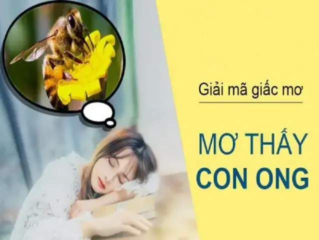 Giải Mã Giấc Mơ Thấy Ong: Ý Nghĩa Điềm Báo Và Con Số May Mắn Chi Tiết Giải Mã Giấc Mơ Thấy Ong: Ý Nghĩa Điềm Báo Và Con Số May Mắn Chi Tiết