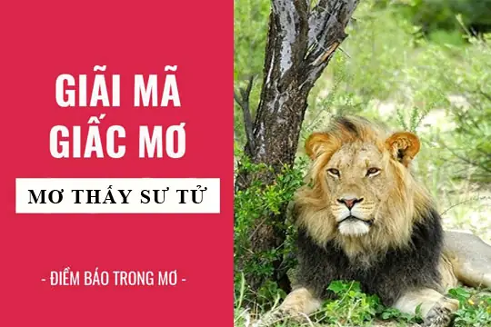 Giải Mã Giấc Mơ Thấy Sư Tử: Ý Nghĩa, Cách Giải Thích Và Những Dấu Hiệu Cần Chú Ý