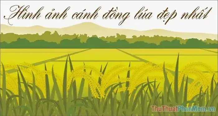Giải Mã Giấc Mơ Thấy Thu Lúa: Ý Nghĩa, Điềm Báo Và Con Số May Mắn Giải Mã Giấc Mơ Thấy Thu Lúa: Ý Nghĩa, Điềm Báo Và Con Số May Mắn