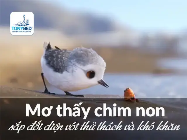 Giải Mã Giấc Mơ Thấy Chim To: Ý Nghĩa, Điềm Báo Và Con Số May Mắn Giải Mã Giấc Mơ Thấy Chim To: Ý Nghĩa, Điềm Báo Và Con Số May Mắn