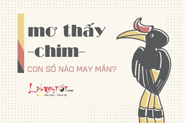 Giải Mã Giấc Mơ Thấy Chim To: Ý Nghĩa, Điềm Báo Và Con Số May Mắn Giải Mã Giấc Mơ Thấy Chim To: Ý Nghĩa, Điềm Báo Và Con Số May Mắn
