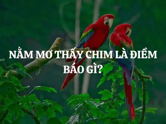 Giải Mã Giấc Mơ Thấy Chim To: Ý Nghĩa, Điềm Báo Và Con Số May Mắn Giải Mã Giấc Mơ Thấy Chim To: Ý Nghĩa, Điềm Báo Và Con Số May Mắn