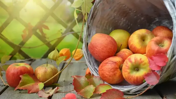 Giải Mã Giấc Mơ Thấy Trái Trăm: Ý Nghĩa, Dự Báo Và Cách Hiểu Sâu Giải Mã Giấc Mơ Thấy Trái Trăm: Ý Nghĩa, Dự Báo Và Cách Hiểu Sâu