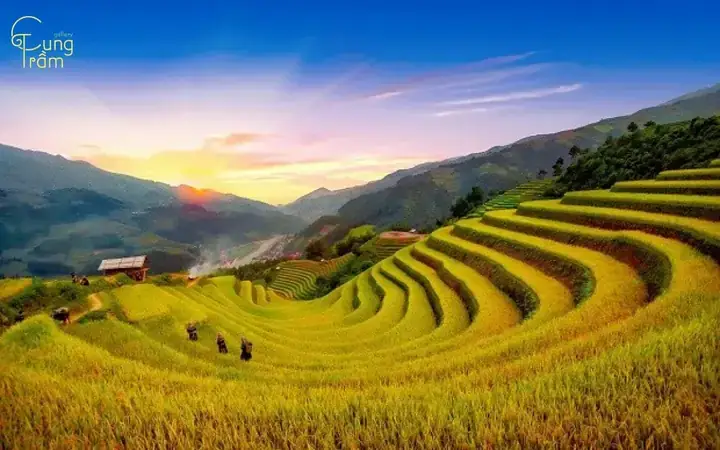 Giải Mã Giấc Mơ Thấy Trái Trăm: Ý Nghĩa, Dự Báo Và Cách Hiểu Sâu Giải Mã Giấc Mơ Thấy Trái Trăm: Ý Nghĩa, Dự Báo Và Cách Hiểu Sâu