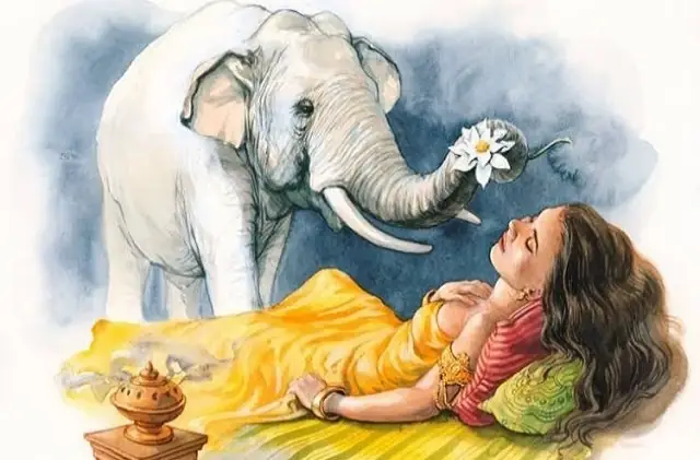 Giải Mã Giấc Mơ Thấy Voi: Ý Nghĩa Điềm Lành, Điềm Dữ Và Con Số May Mắn