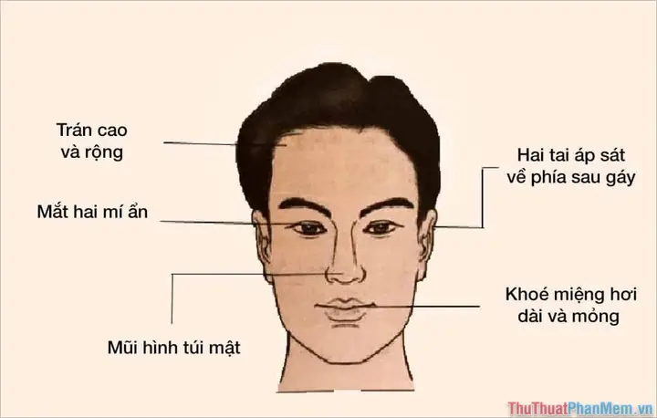 Top Phần Mềm Xem Tướng Mặt Bằng Ai Miễn Phí Cho Người Muốn Khám Phá Vận Mệnh Qua Ảnh Chụp Top Phần Mềm Xem Tướng Mặt Bằng Ai Miễn Phí Cho Người Muốn Khám Phá Vận Mệnh Qua Ảnh Chụp