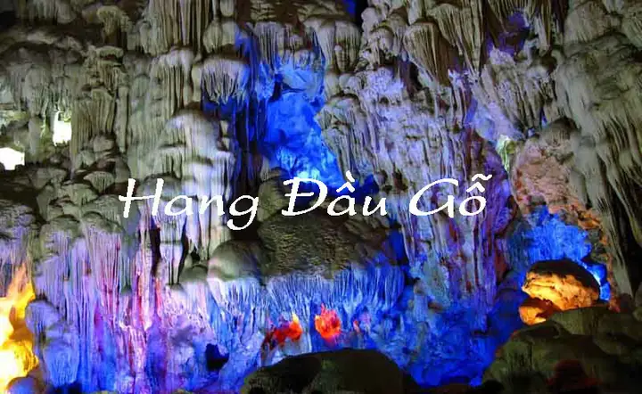 Hang Đầu Gỗ Ở Vịnh Hạ Long: Định Vị, Khoảng Cách, Và Lý Do Tên Gọi Hang Đầu Gỗ Ở Vịnh Hạ Long: Định Vị, Khoảng Cách, Và Lý Do Tên Gọi