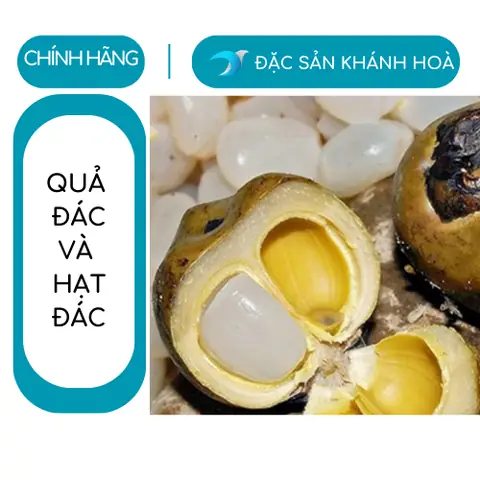 Mua Hạt Đác Tươi Sạch Nha Trang Giá Rẻ: Giá 1kg Và Nơi Bán Uy Tín Mua Hạt Đác Tươi Sạch Nha Trang Giá Rẻ: Giá 1kg Và Nơi Bán Uy Tín