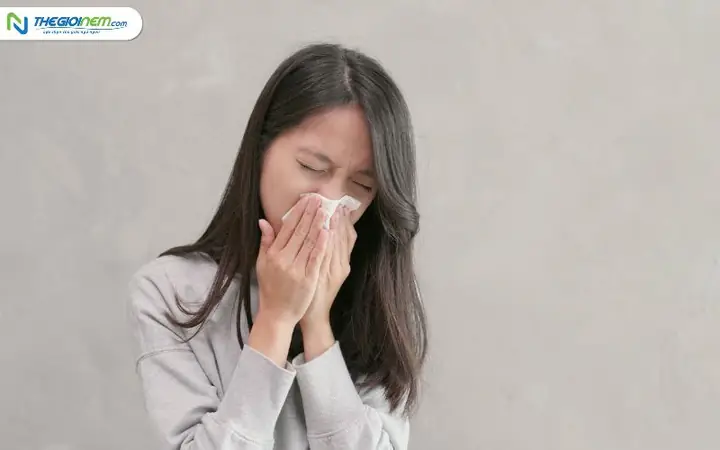 Giải Mã Điềm Báo Hắt Hơi Theo Giờ Và Số Lần (nhảy Mũi 1, 2, 3 Cái) Cho Nam Nữ Giải Mã Điềm Báo Hắt Hơi Theo Giờ Và Số Lần (nhảy Mũi 1, 2, 3 Cái) Cho Nam Nữ