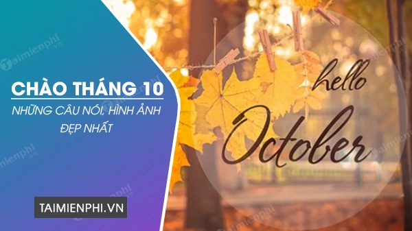 Tải Về & Sử Dụng “hình Ảnh 10” – Hướng Dẫn Chi Tiết Dành Cho Nhà Thiết Kế, Giáo Viên & Người Dùng Cá Nhân