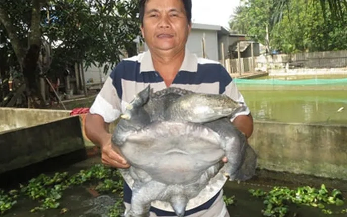 Hình Ảnh Baba: Tập Hợp Toàn Bộ Hình Ảnh, Phân Loại & Cách Tìm Kiếm Nhanh Cho Người Yêu Thú Nuôi