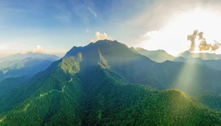 Chiêm Ngưỡng Hình Ảnh Bạch Mã (vườn Quốc Gia Đại Ngàn Ngựa Trắng) Dành Cho Du Khách Chiêm Ngưỡng Hình Ảnh Bạch Mã (vườn Quốc Gia Đại Ngàn Ngựa Trắng) Dành Cho Du Khách