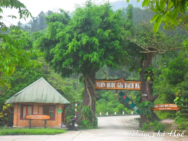 Chiêm Ngưỡng Hình Ảnh Bạch Mã (vườn Quốc Gia Đại Ngàn Ngựa Trắng) Dành Cho Du Khách Chiêm Ngưỡng Hình Ảnh Bạch Mã (vườn Quốc Gia Đại Ngàn Ngựa Trắng) Dành Cho Du Khách