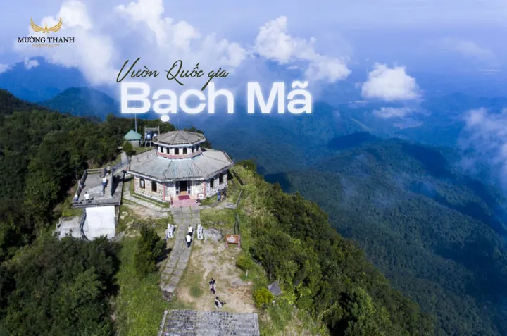 Chiêm Ngưỡng Hình Ảnh Bạch Mã (vườn Quốc Gia Đại Ngàn Ngựa Trắng) Dành Cho Du Khách Chiêm Ngưỡng Hình Ảnh Bạch Mã (vườn Quốc Gia Đại Ngàn Ngựa Trắng) Dành Cho Du Khách