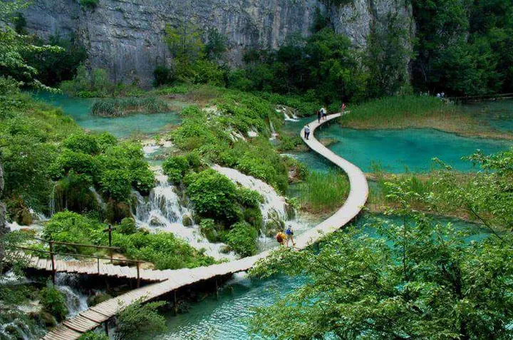 Chiêm Ngưỡng Hình Ảnh Bạch Mã (vườn Quốc Gia Đại Ngàn Ngựa Trắng) Dành Cho Du Khách Chiêm Ngưỡng Hình Ảnh Bạch Mã (vườn Quốc Gia Đại Ngàn Ngựa Trắng) Dành Cho Du Khách