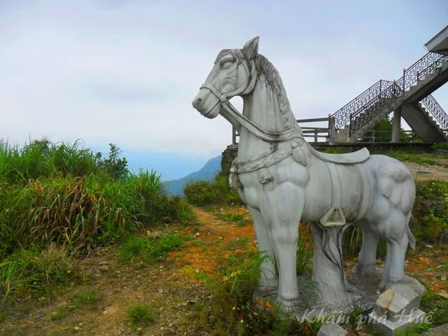 Chiêm Ngưỡng Hình Ảnh Bạch Mã (vườn Quốc Gia Đại Ngàn Ngựa Trắng) Dành Cho Du Khách Chiêm Ngưỡng Hình Ảnh Bạch Mã (vườn Quốc Gia Đại Ngàn Ngựa Trắng) Dành Cho Du Khách