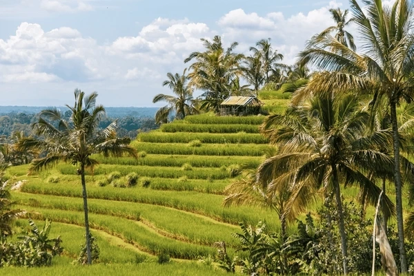 Tải Ngay 100+ Ảnh Đẹp Bali Siêu “sống Ảo” – Hướng Dẫn Chụp & Sử Dụng Dành Cho Du Khách & Nhà Thiết Kế Tải Ngay 100+ Ảnh Đẹp Bali Siêu “sống Ảo” – Hướng Dẫn Chụp & Sử Dụng Dành Cho Du Khách & Nhà Thiết Kế