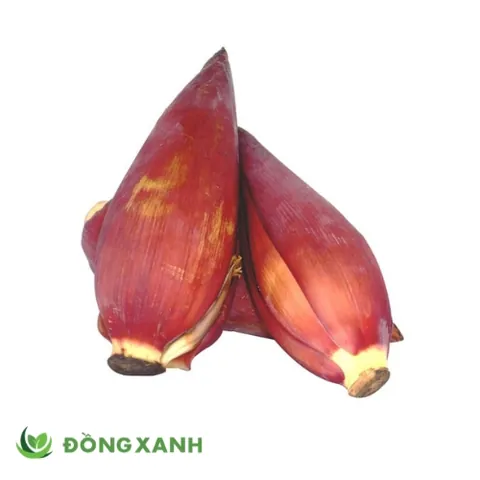 Khám Phá Hình Ảnh Bắp Chuối Cùng Các Loại Bắp Chuối Dành Cho Bà Nội Trợ Khám Phá Hình Ảnh Bắp Chuối Cùng Các Loại Bắp Chuối Dành Cho Bà Nội Trợ