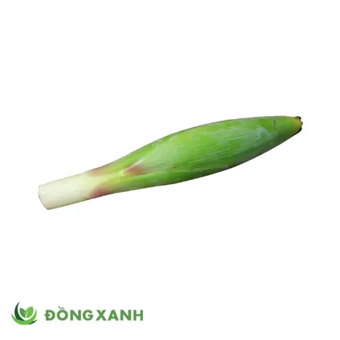Khám Phá Hình Ảnh Bắp Chuối Cùng Các Loại Bắp Chuối Dành Cho Bà Nội Trợ Khám Phá Hình Ảnh Bắp Chuối Cùng Các Loại Bắp Chuối Dành Cho Bà Nội Trợ