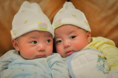 100+ Hình Ảnh Bé Trai Sinh Đôi Dễ Thương: Bộ Sưu Tập Đỉnh Cao Dành Cho Các Bố Mẹ & Người Yêu Thú Nhị Thế