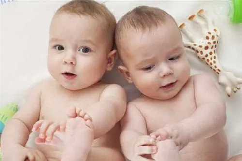 Tải Bộ Sưu Tập Hình Ảnh Bé Yêu Đẹp, Dễ Thương, Chất Lượng Cao Cho Cha Mẹ & Người Thiết Kế (bao Gồm Ảnh Sơ Sinh, Cười)