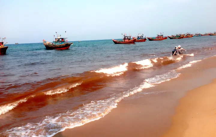 Chiêm Ngưỡng Hình Ảnh Biển Đỏ (xích Hải) Chân Thực Và Tuyệt Đẹp Dành Cho Du Khách Chiêm Ngưỡng Hình Ảnh Biển Đỏ (xích Hải) Chân Thực Và Tuyệt Đẹp Dành Cho Du Khách