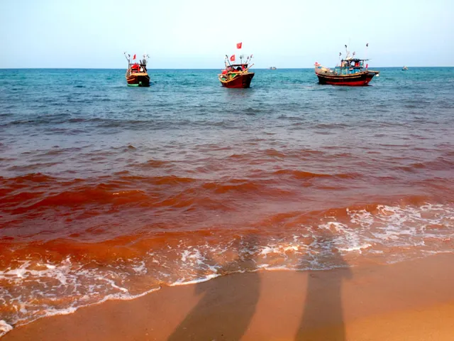 Chiêm Ngưỡng Hình Ảnh Biển Đỏ (xích Hải) Chân Thực Và Tuyệt Đẹp Dành Cho Du Khách Chiêm Ngưỡng Hình Ảnh Biển Đỏ (xích Hải) Chân Thực Và Tuyệt Đẹp Dành Cho Du Khách
