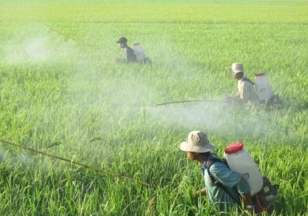 Hình Ảnh & Biện Pháp Khắc Phục Ô Nhiễm Môi Trường: Bộ Sưu Tập Đầy Đủ Cho Nhà Giáo Dục, Nhà Nghiên Cứu & Người Yêu Thiên Nhiên