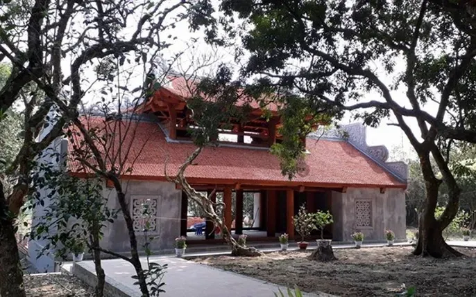Xem Hình Ảnh Bồ Đà (cần Sa) Và Hướng Dẫn Nhận Diện Cho Người Dùng Xem Hình Ảnh Bồ Đà (cần Sa) Và Hướng Dẫn Nhận Diện Cho Người Dùng