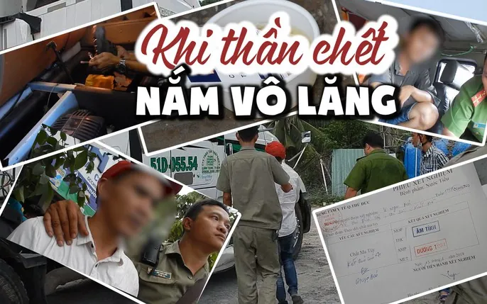 Xem Hình Ảnh Bồ Đà (cần Sa) Và Hướng Dẫn Nhận Diện Cho Người Dùng Xem Hình Ảnh Bồ Đà (cần Sa) Và Hướng Dẫn Nhận Diện Cho Người Dùng