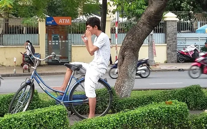 Xem Hình Ảnh Bồ Đà (cần Sa) Và Hướng Dẫn Nhận Diện Cho Người Dùng Xem Hình Ảnh Bồ Đà (cần Sa) Và Hướng Dẫn Nhận Diện Cho Người Dùng