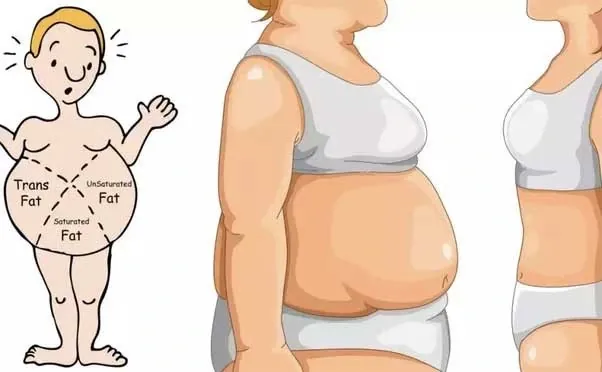 Nhận Diện Các Dạng Hình Ảnh Bụng Mỡ Ở Phái Nữ Và Phân Biệt Với Bụng Bầu Nhận Diện Các Dạng Hình Ảnh Bụng Mỡ Ở Phái Nữ Và Phân Biệt Với Bụng Bầu