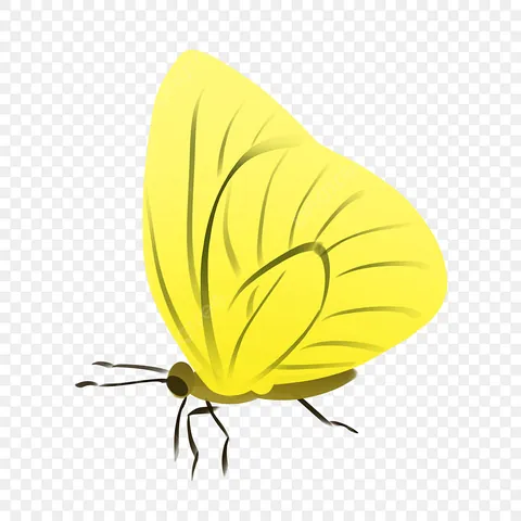 Tải Hình Ảnh Bướm Vàng Miễn Phí Cho Designer: Tổng Hợp Ảnh Thực Tế, Png Và Vector Tải Hình Ảnh Bướm Vàng Miễn Phí Cho Designer: Tổng Hợp Ảnh Thực Tế, Png Và Vector