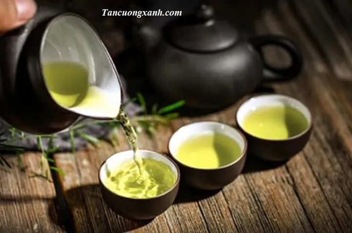 Khám Phá Hình Ảnh Búp Chè Và Cấu Tạo Tôm Lá Non Cho Người Yêu Trà