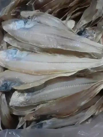 Khám Phá Hình Ảnh Cá Bơn (cá Lưỡi Trâu): Cách Nhận Diện Đặc Điểm Sinh Học Cho Người Nội Trợ Khám Phá Hình Ảnh Cá Bơn (cá Lưỡi Trâu): Cách Nhận Diện Đặc Điểm Sinh Học Cho Người Nội Trợ
